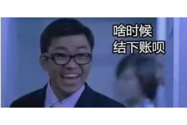 袁州为什么选择专业追讨公司来处理您的债务纠纷？