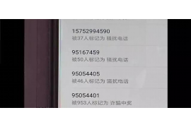 袁州袁州的要账公司在催收过程中的策略和技巧有哪些？